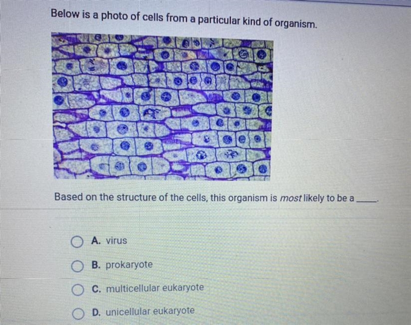 Please HELP IM TIRED OF THOSE BOTS help me out Below is a photo of cells from a particular-example-1