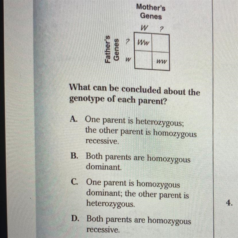 The picture shows what the question is-example-1