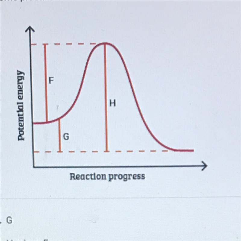 Which part of the graph represents how much energy the reactants need gain to become-example-1