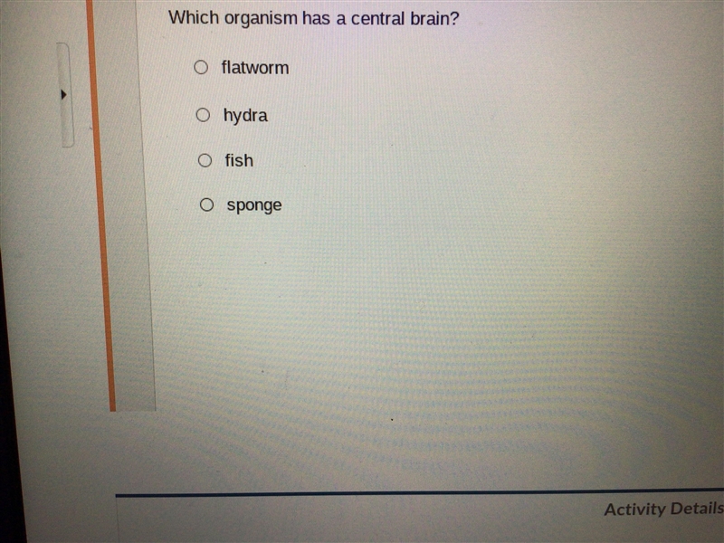 Which term names part of the peripheral nervous system? I have another question which-example-1