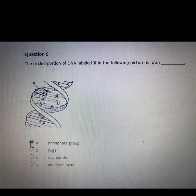 Can someone pplease help me ASAP please-example-1