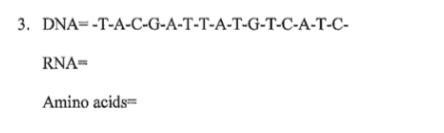 Given is a strand of DNA, fill in the corresponding RNA strand and find which amino-example-1