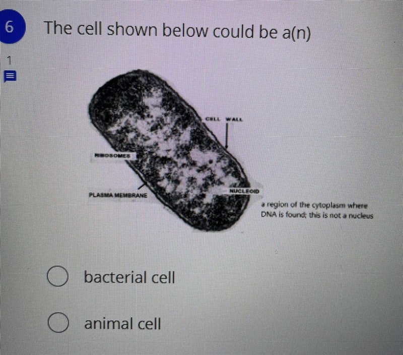 Plz help I need help-example-1