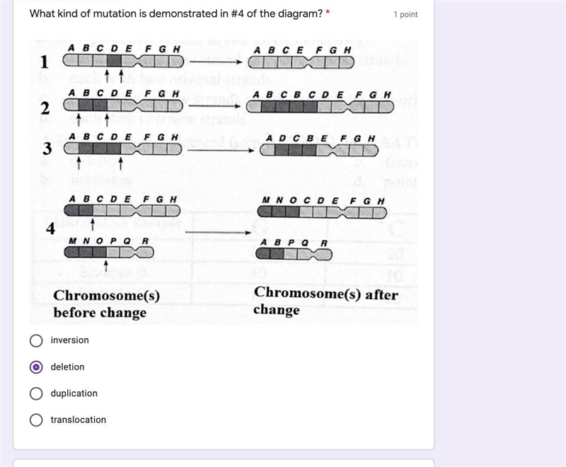 What Kind of Mutation is demonstrated?-example-1