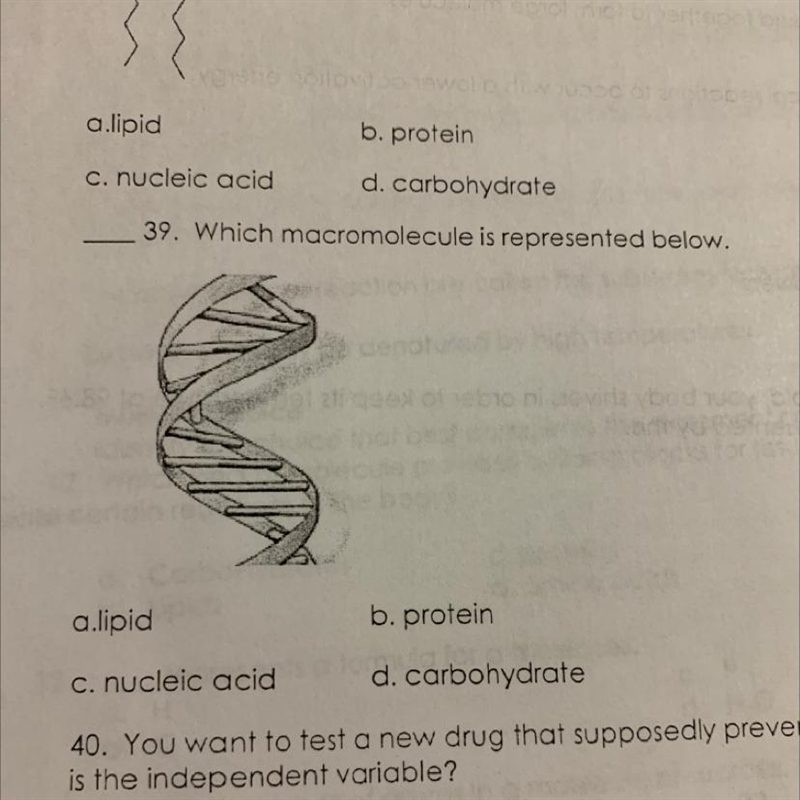 39. Which macromolecule is represented below. a.lipid b. protein C. nucleic acid d-example-1