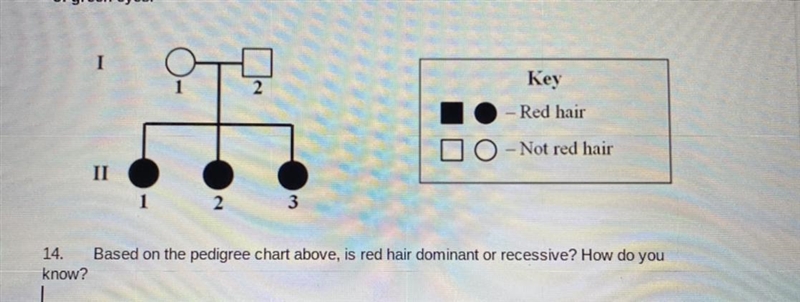 Based on the pedigree chart above, is red hair dominant or recessive? How do you know-example-1