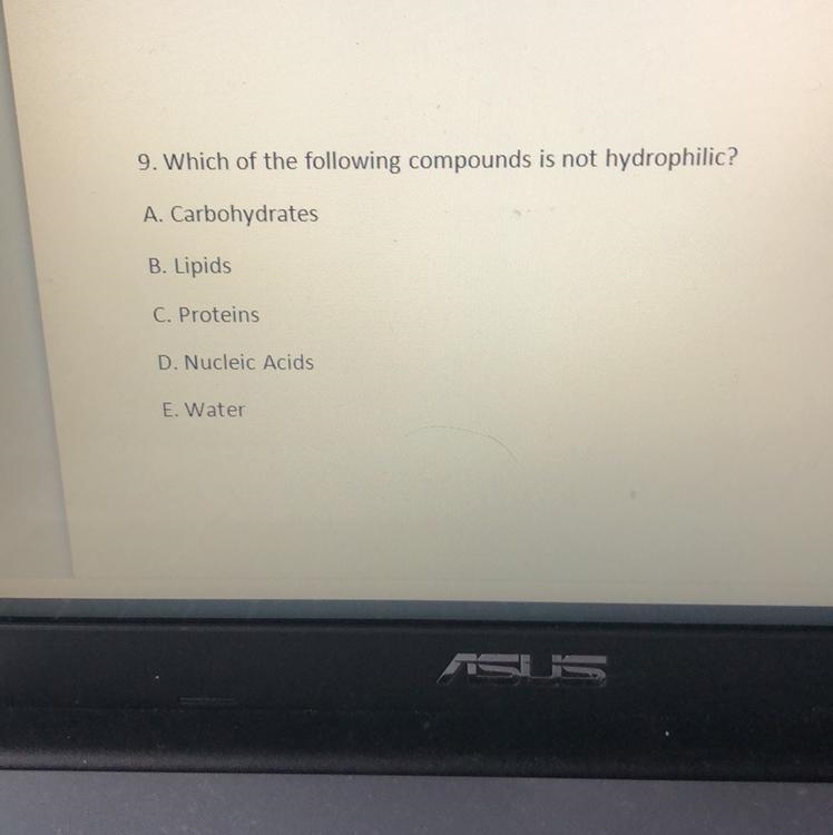 Which are the Nucleic acids include-example-1