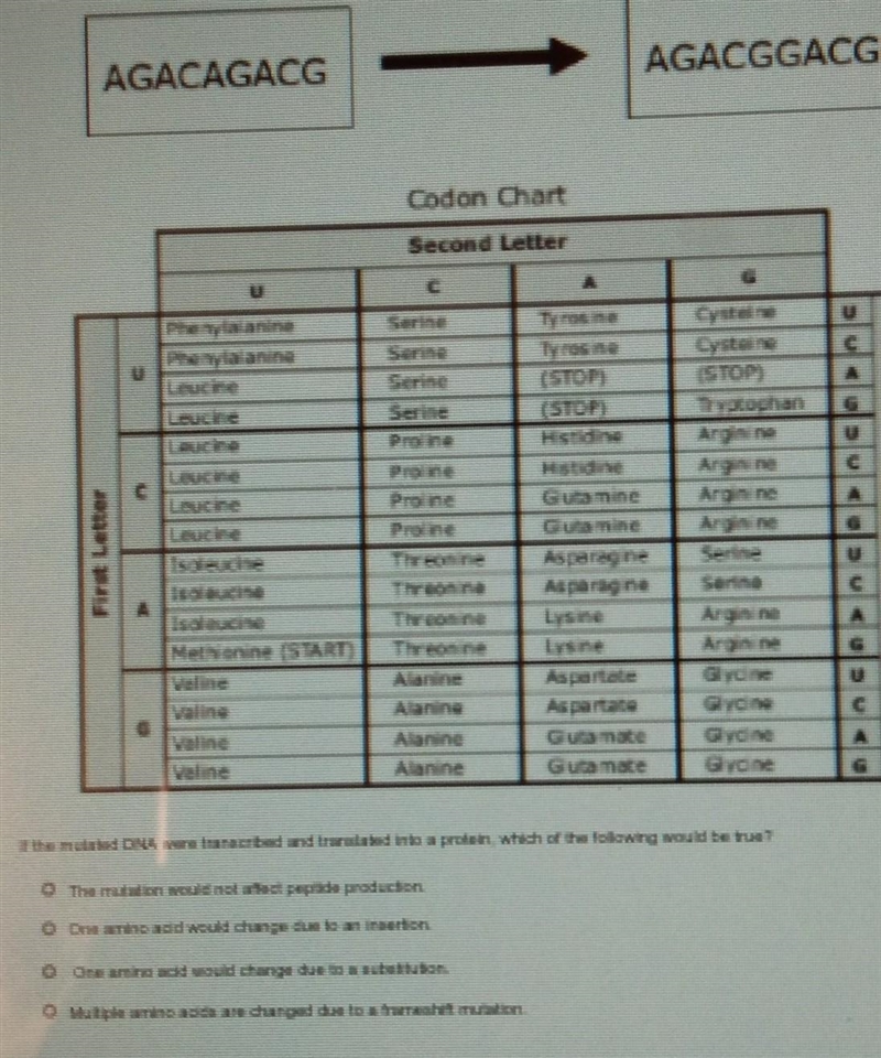 Please help me with this​-example-1