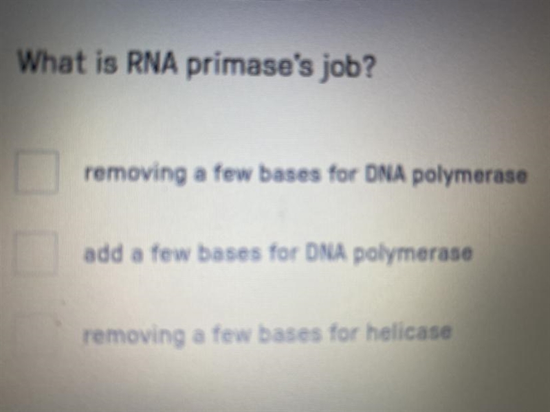 What is RNA primase's job? -removing a few bases for DNA polymerase -add a few bases-example-1