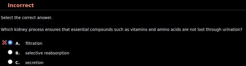 Which kidney process ensures that essential compounds such as vitamins and amino acids-example-1