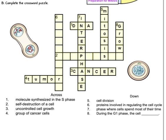 HELP ON NUMBER 2 AND 6-example-1