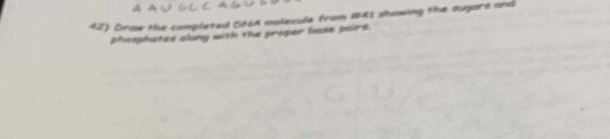 Help please this is about dna in biology-example-1