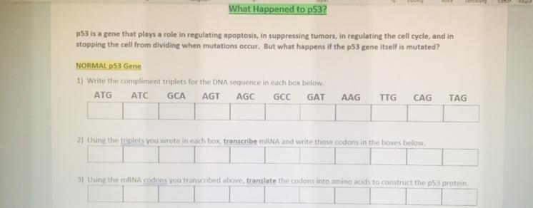 write the compliment triplets for the DNA sequence in each box in the following “ATG-example-1