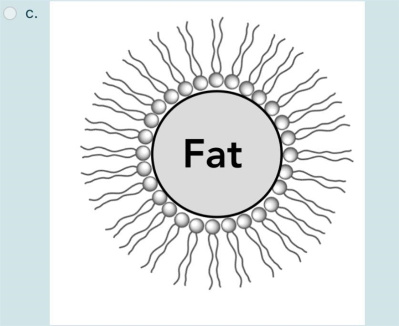 Question10 Bile acids are important compounds secreted by your liver to aid in digestion-example-3