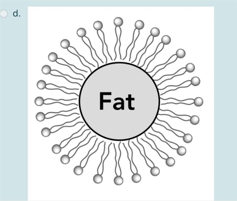 Question10 Bile acids are important compounds secreted by your liver to aid in digestion-example-4