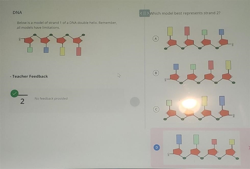 DNA < | > Which model best represents strand 2? Below is a model of strand 1 of-example-1