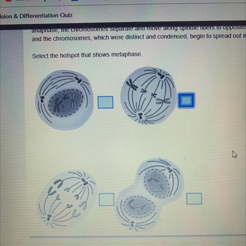 HELP QUICK PLEASE Select the hotspot that shows metaphase.-example-1