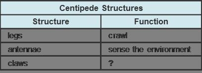 Juan is making a chart to organize his notes about centipedes. Which best completes-example-1