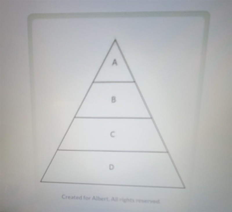 The diagram below shows an energy pyramid for various trophic levels in an ecosystem-example-1