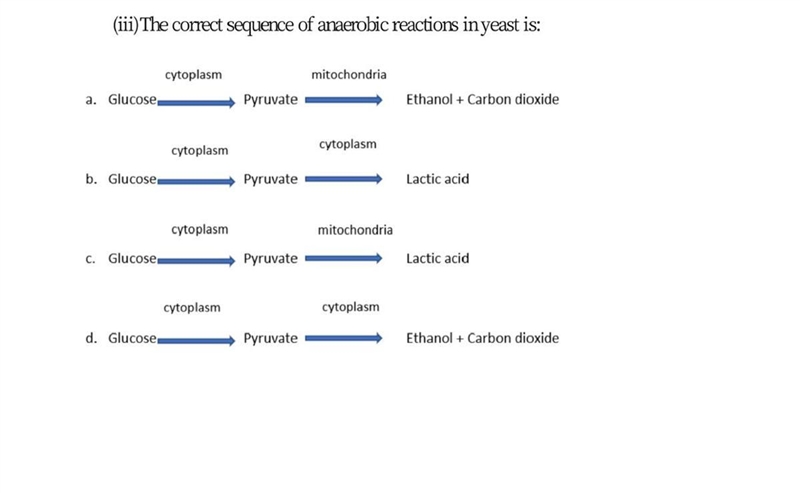 Which one is the correct option-example-1