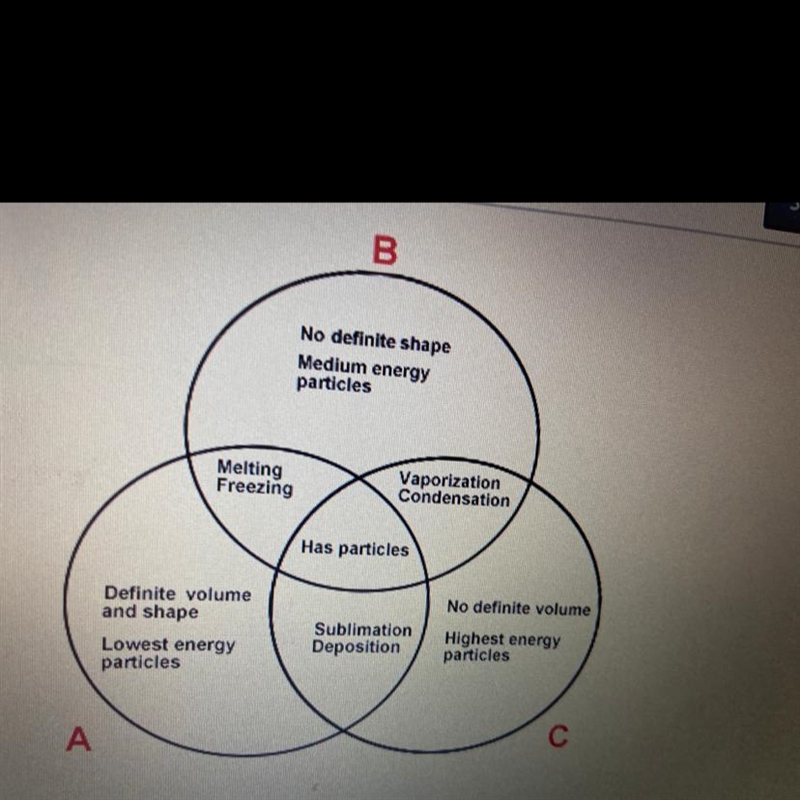 Based on the data presented in the Venn Diagram, circle B MOST LIKELY represents the-example-1