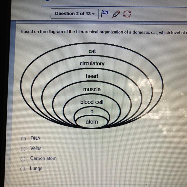 Which one is it plzzz help meee-example-1