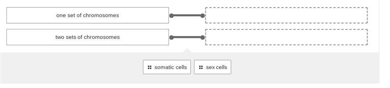 Match these to the correct definitions pls-example-1