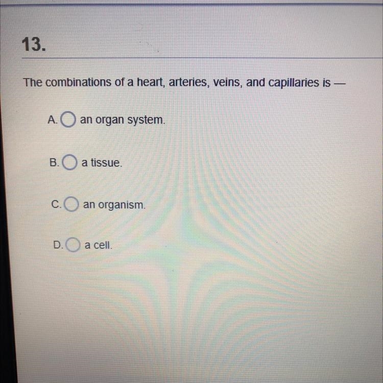 Can you help me please-example-1