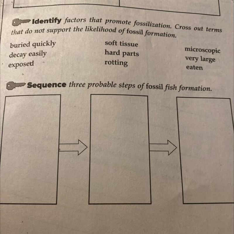 Sequence three probable steps of fossil fish formation?-example-1