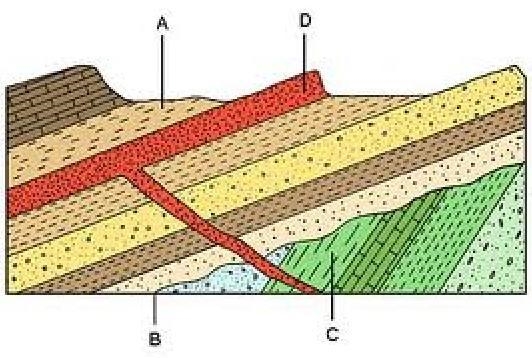 *15 points* Earth Science Based on the picture, how many tilting events has this area-example-1