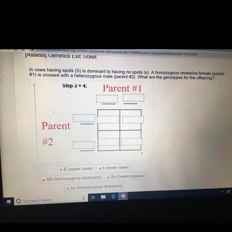 Please help me with this please-example-1