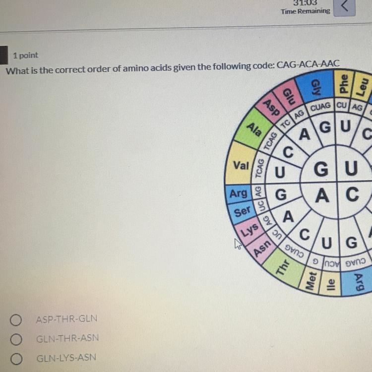 What is the correct order of amino acids given the following code: CAG-ACA-AAC-example-1