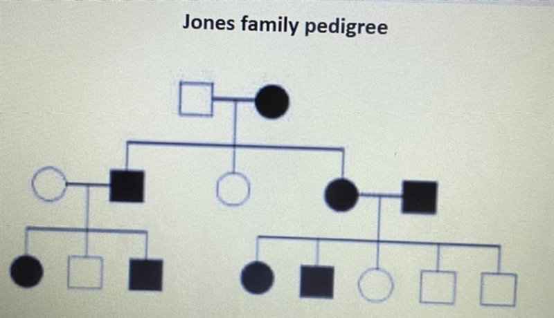 PEASE HELPPP!!! Identify the individual(s) in the Jones family whose genotype cannot-example-1