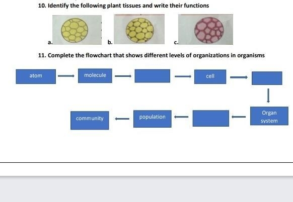 10,000 $, give away, please help me please find the answer ​-example-1