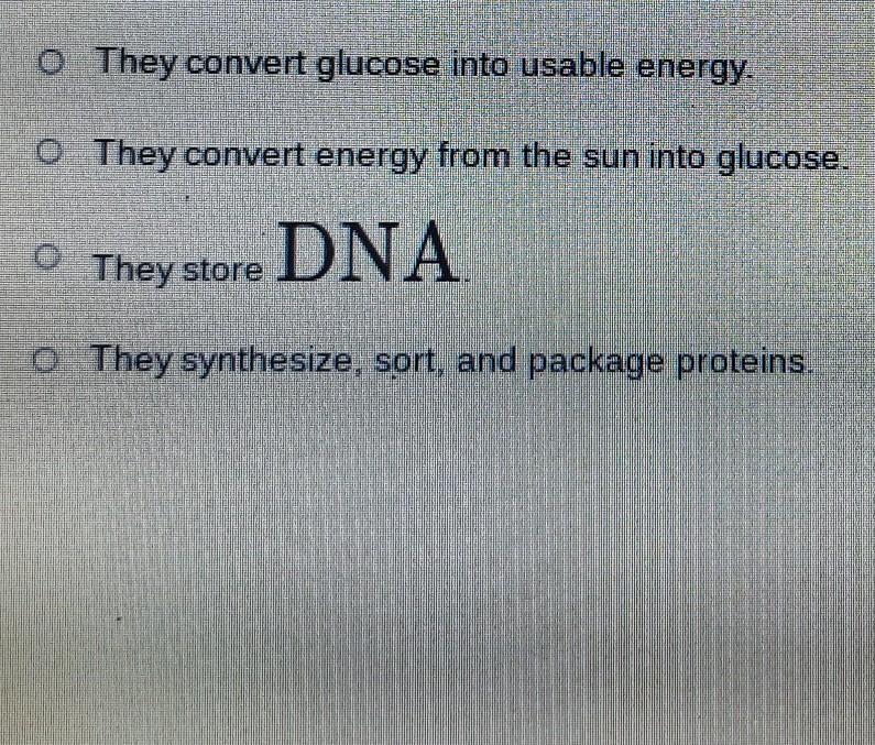 How do mitochondria contribute to the function of the cell?​-example-1