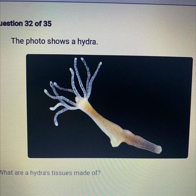 A. Bone B. Organ systems C. Organs D. Specialized cells-example-1