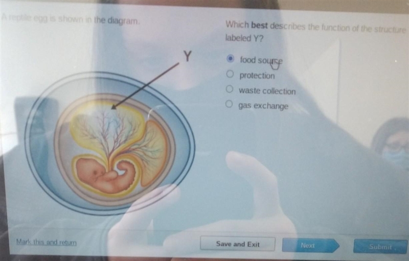 A reptile egg is shown in the diagram which best describes function of the structure-example-1