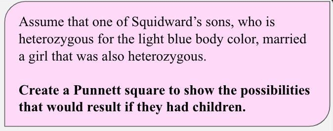 What is the genotype of Squidward's son?-example-1