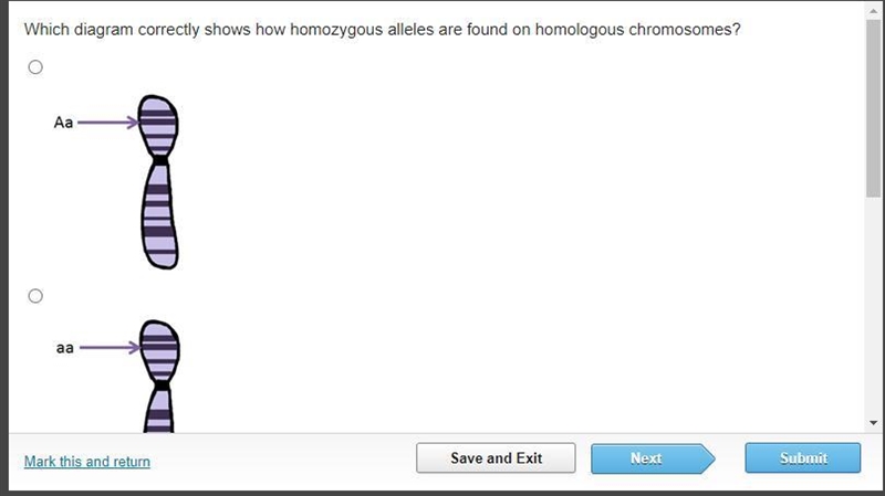 Which diagram correctly shows how h-zygous alleles are found on h-logous chromosomes-example-1