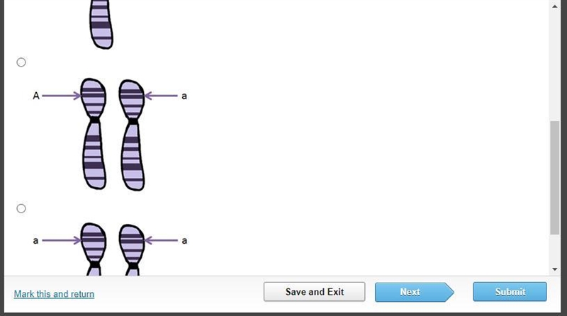 Which diagram correctly shows how h-zygous alleles are found on h-logous chromosomes-example-2