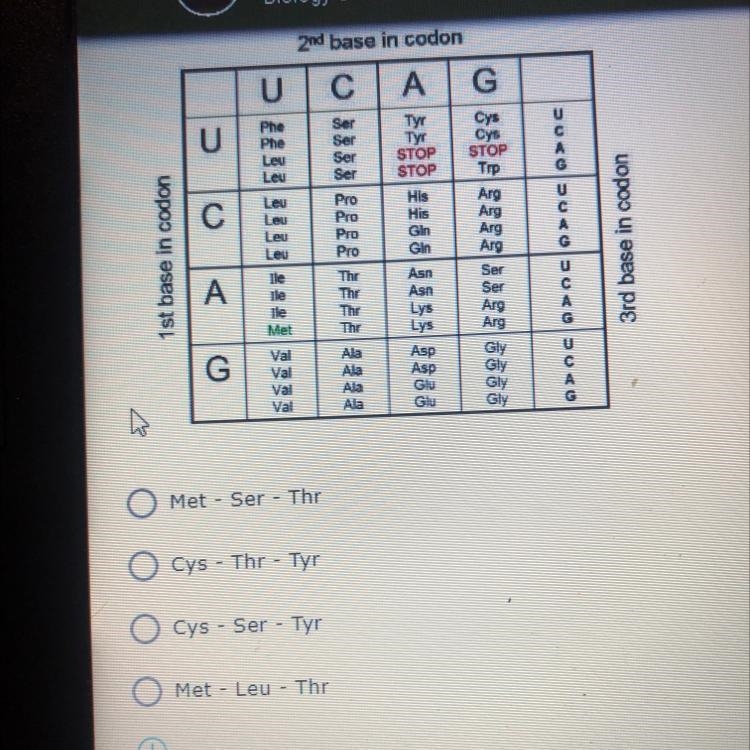 A segment of RNA reads A U G U C C A C A. Use the codon table to determine what sequence-example-1