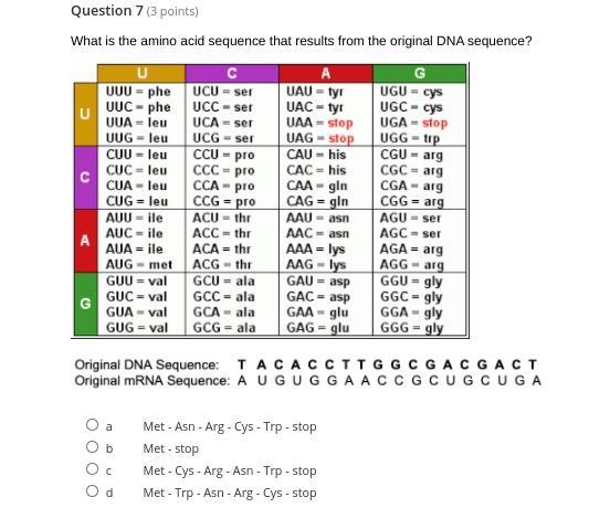 What is the amino acid sequence that results from the original DNA sequence?-example-1