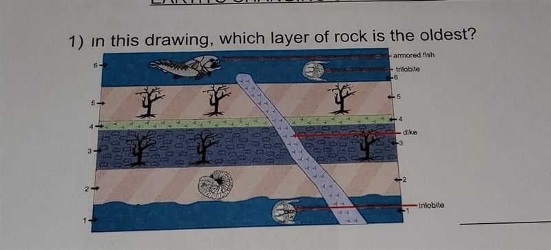 In this drawing, witch layer of rock is the oldest? ​-example-1