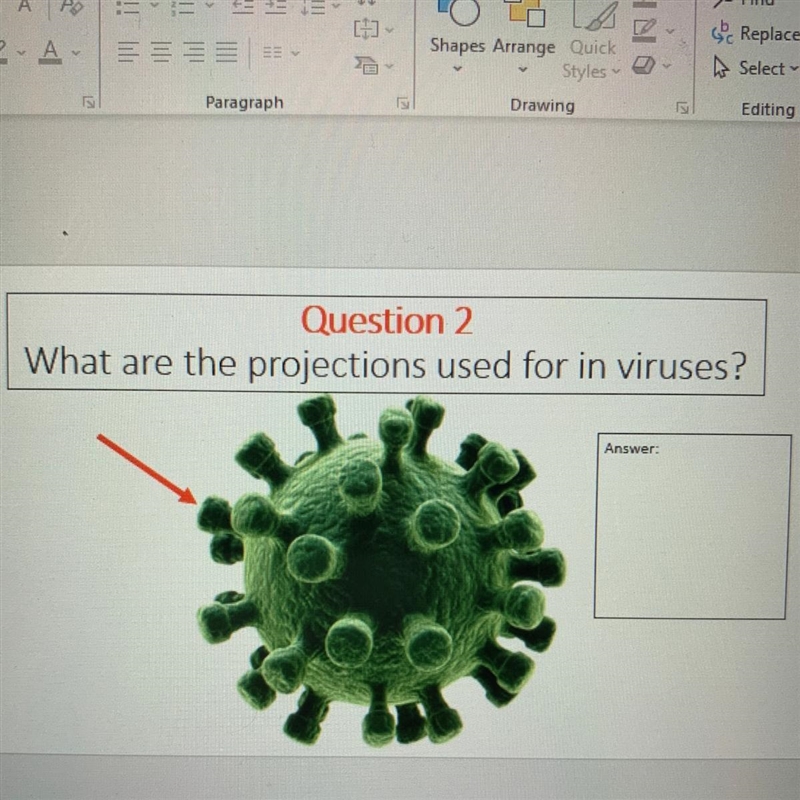 What are the projections used for in viruses?-example-1