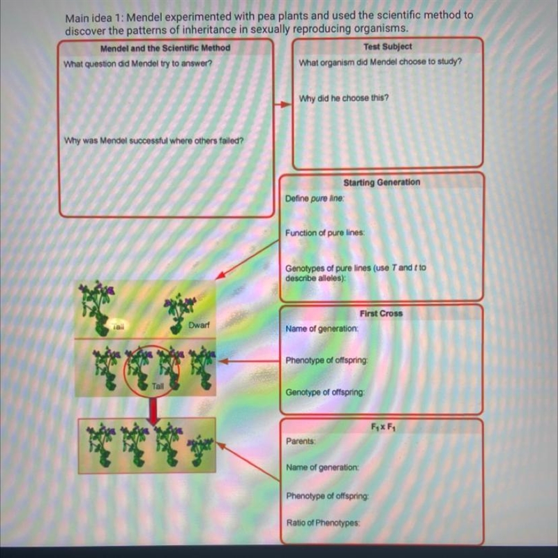 Help me plz on my biology-example-1