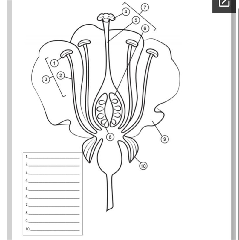 Label flower parts pls-example-1