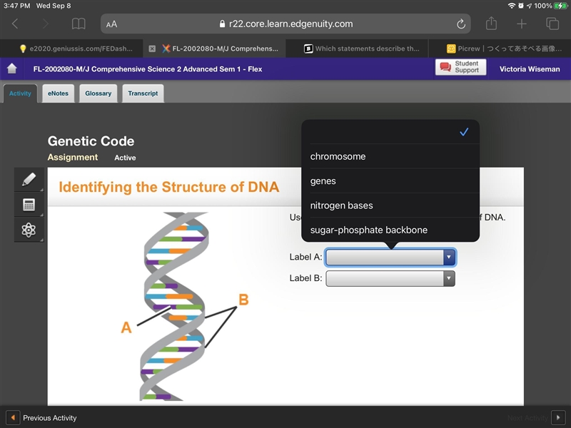 I need help ASAP Use the drop-down menus to identify the parts of DNA.-example-2