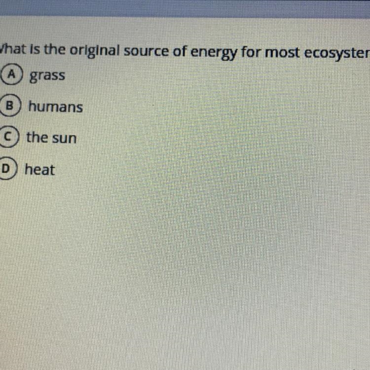 What is the original source of energy for most ecosystems? A grass B) humans C)the-example-1