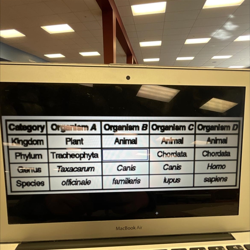 Which two organisms are most closely related? 1. B and C 2. A and B 3. B and D 4. A-example-1