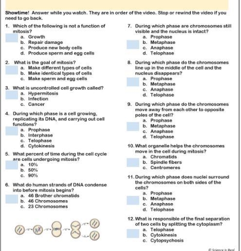 PLEASE HELP MITOSIS VIDEO HANDOUT-example-1